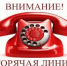 Стартует Всероссийская «горячая линия» по профилактике ВИЧ-инфекции - Октябрьский район